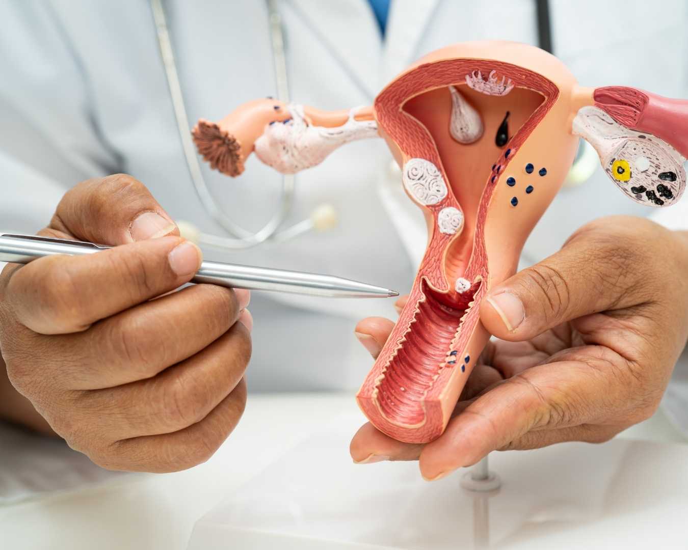 Reproductive Health Services Reproductive Health Services